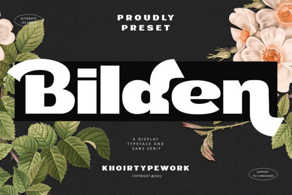 Bilden Font Review: A Bold Display Typeface for Branding