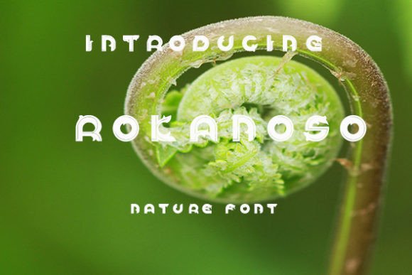 Rokanoso: The Organic Display Font for Viral Visuals